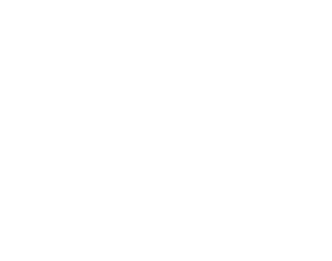 Pāua Tūwā (Wild Abalone)