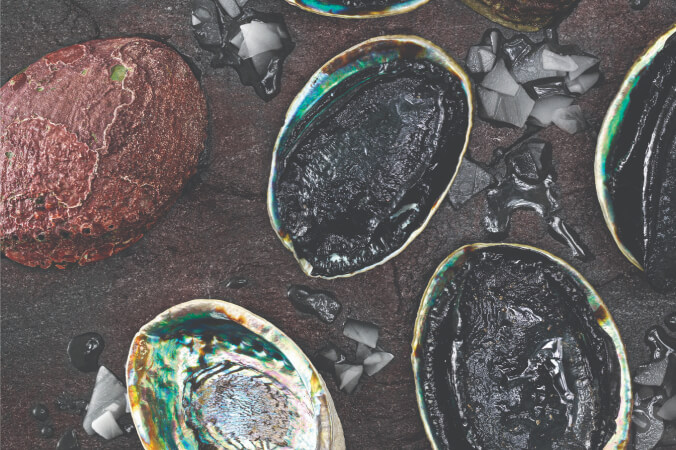 Pāua tūwā (Wild Abalone)