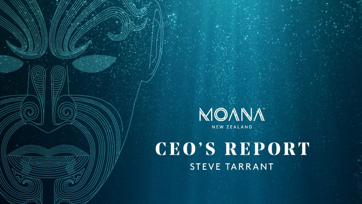 CEOs report