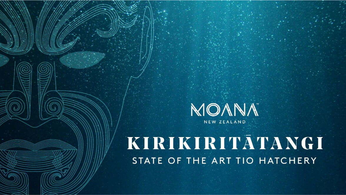 Kirikiritatangi - state of the art tioi hatchery