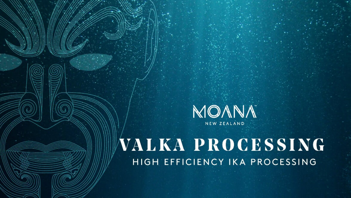 Valka processing