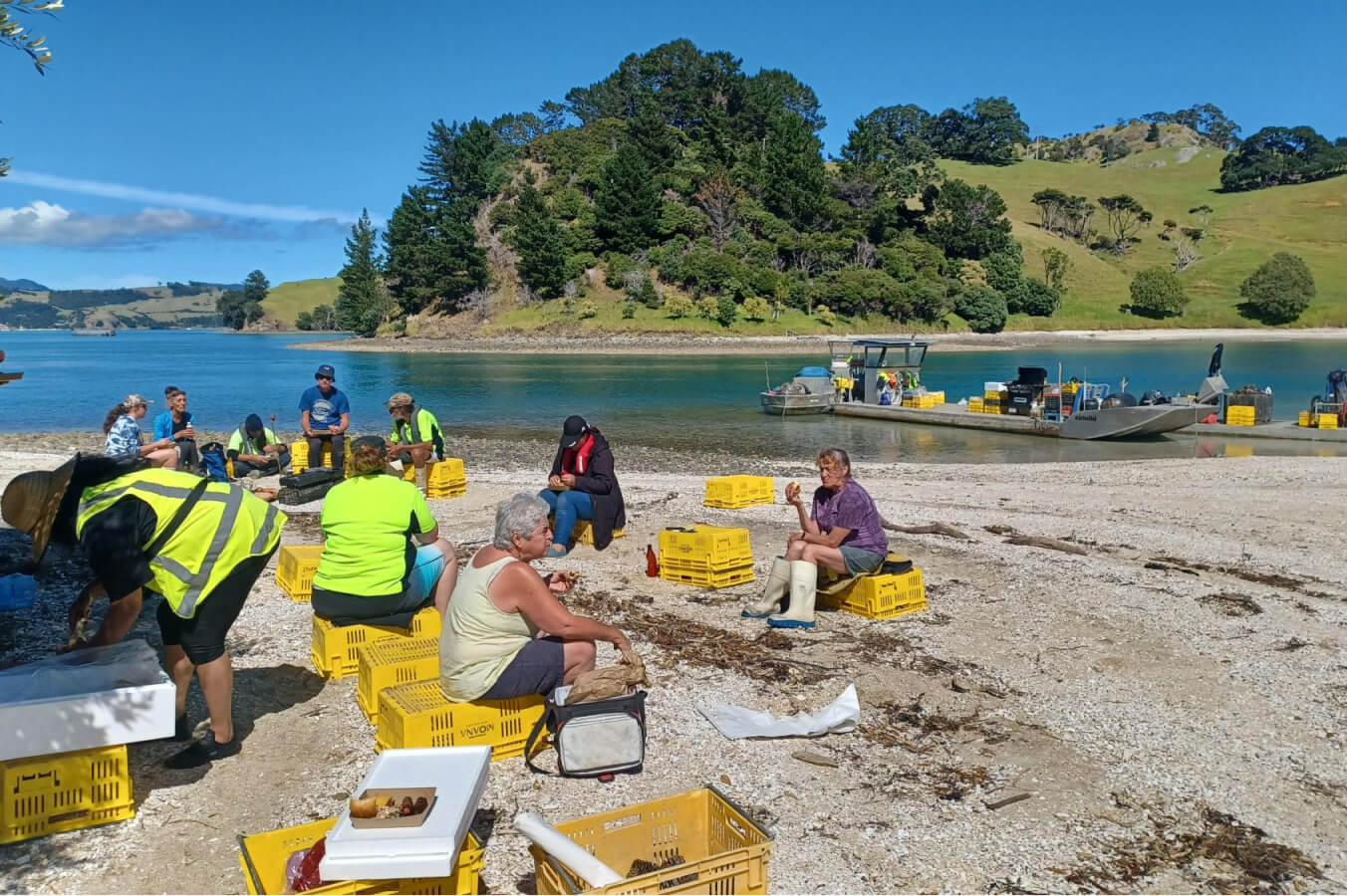 Coromandel annual coastal clean-up 