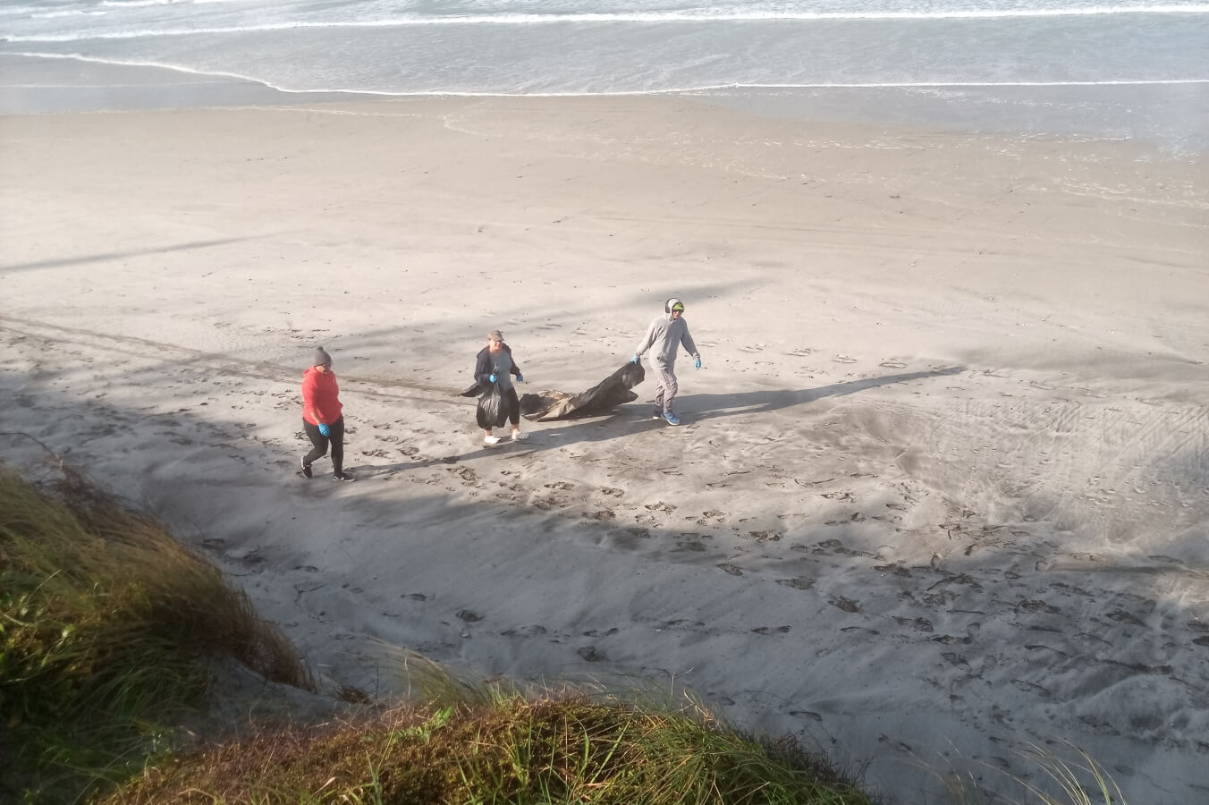 Team Ruakākā beach clean-up on World Ocean Day