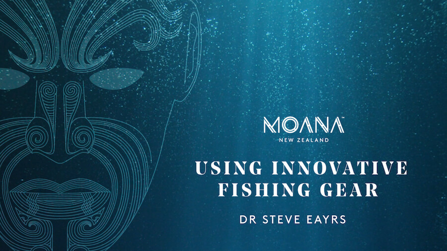 Dr Steve Eayrs' Report on Voluntary Innovative Fishing Gear
